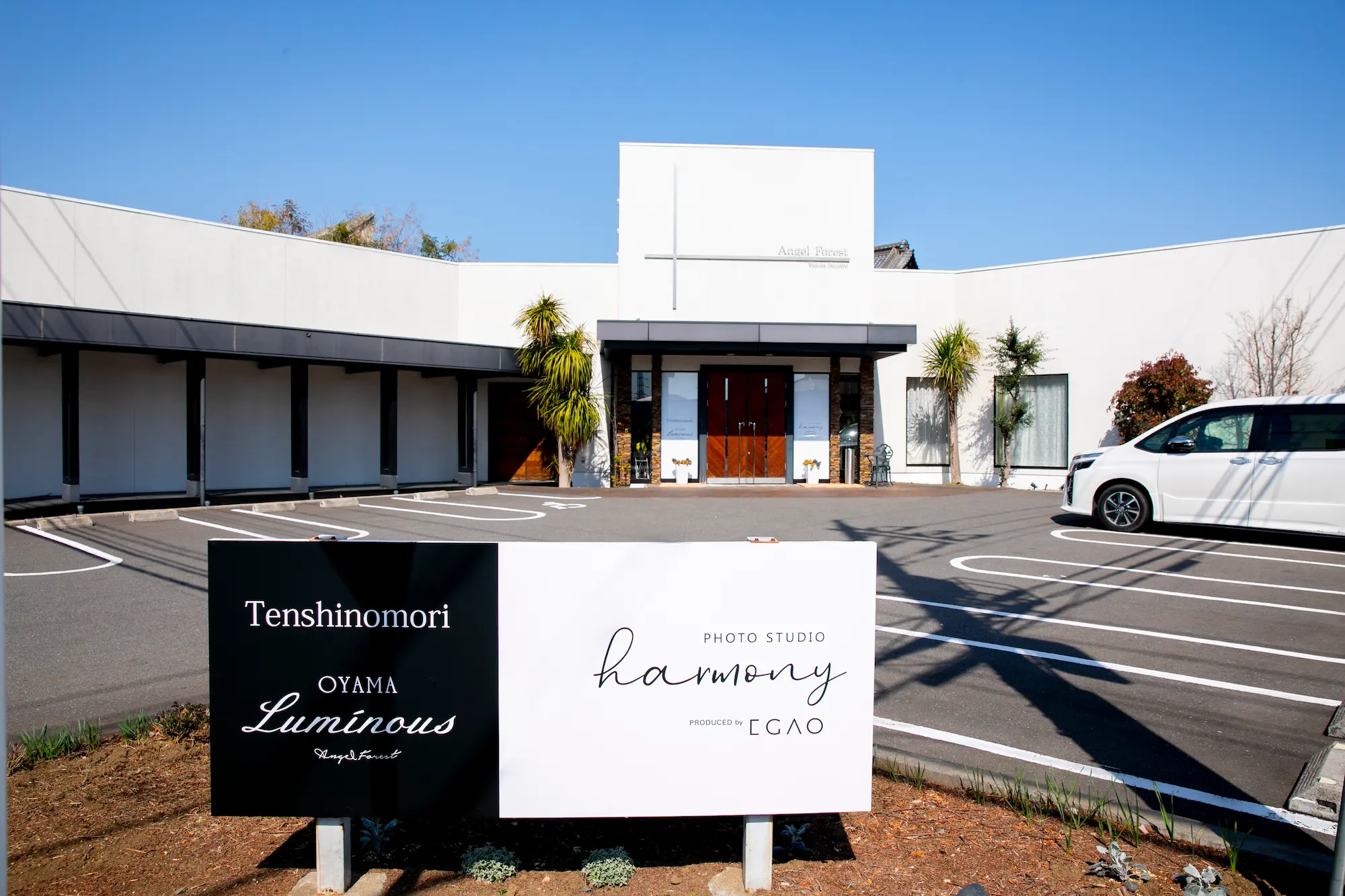 Photo studio harmony